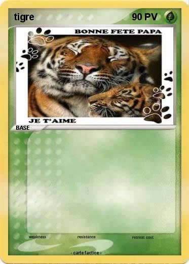 Pokemon tigre