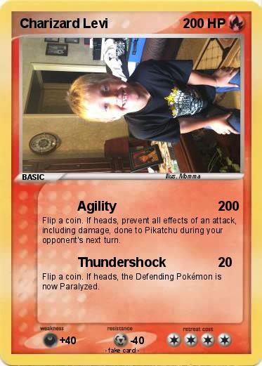 Pokemon Charizard Levi