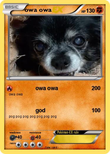 Pokemon owa owa