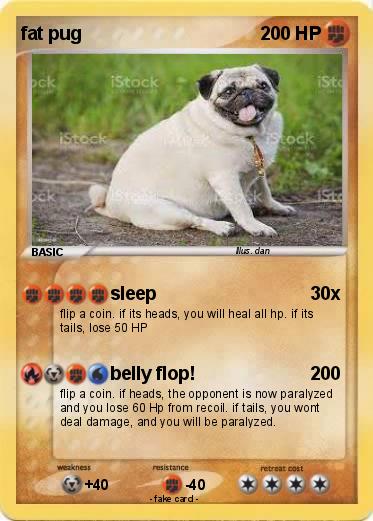 Pokemon fat pug
