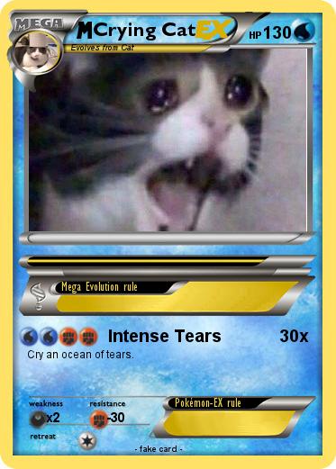 Pokemon Crying Cat
