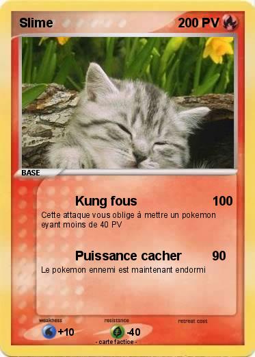 Pokemon Slime