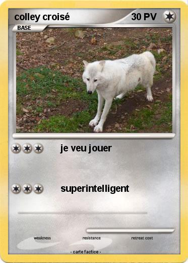 Pokemon colley croisé