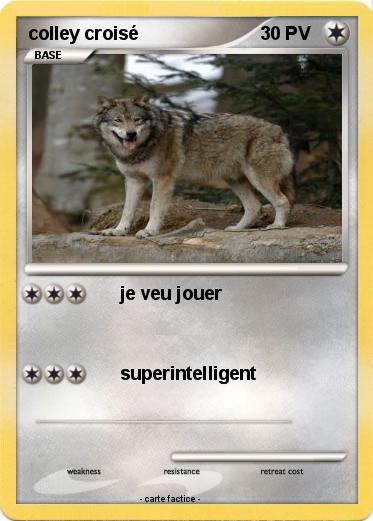 Pokemon colley croisé