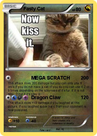 Pokemon Fasty Cat