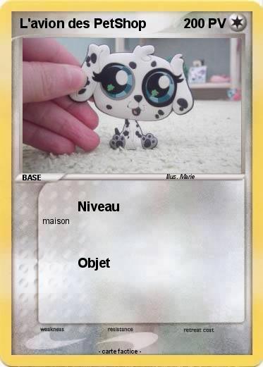 Pokemon L'avion des PetShop