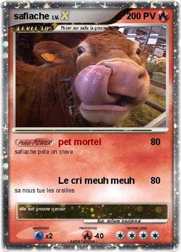 Pokemon safiache