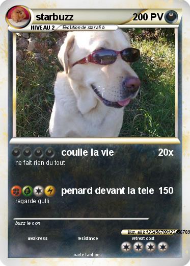 Pokemon starbuzz