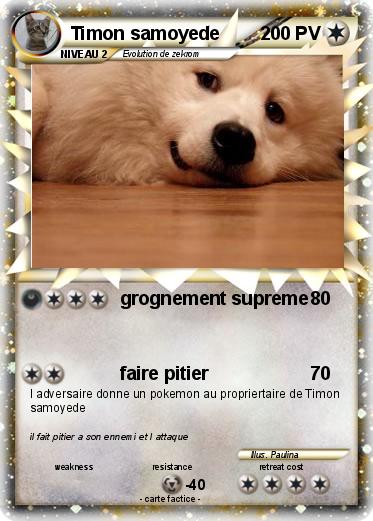 Pokemon Timon samoyede
