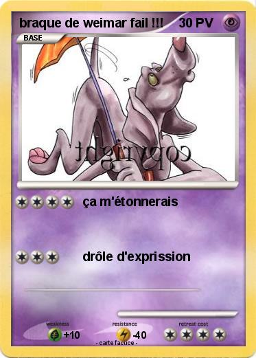Pokemon braque de weimar fail !!!