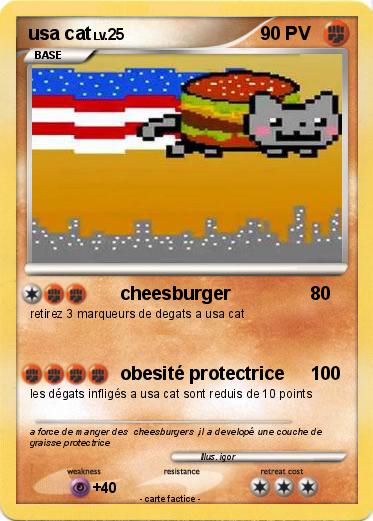 Pokemon usa cat
