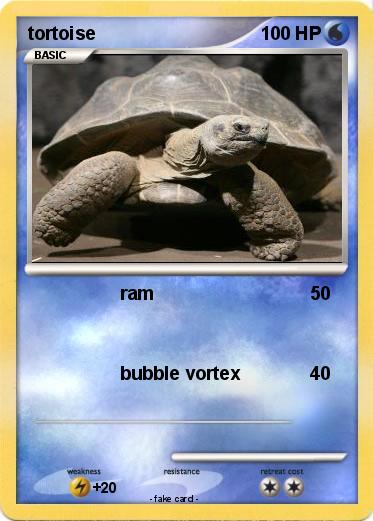 Pokemon tortoise