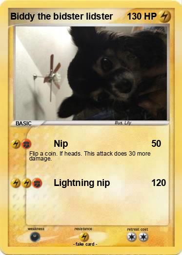 Pokemon Biddy the bidster lidster