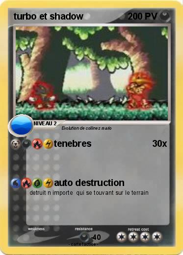 Pokemon turbo et shadow