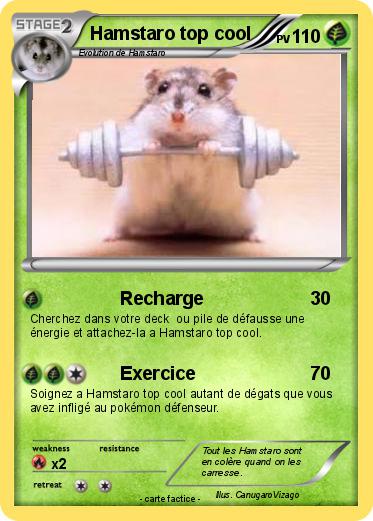 Pokemon Hamstaro top cool