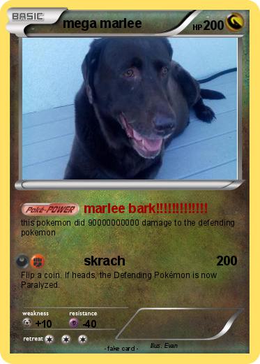 Pokemon mega marlee