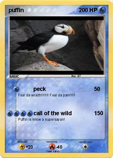 Pokemon puffin