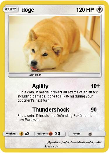 Pokemon doge