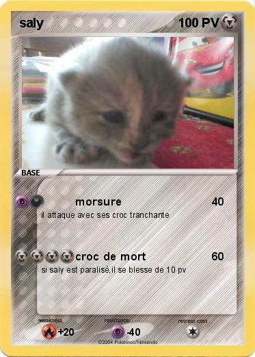 Pokemon saly