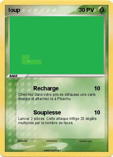 Pokemon loup