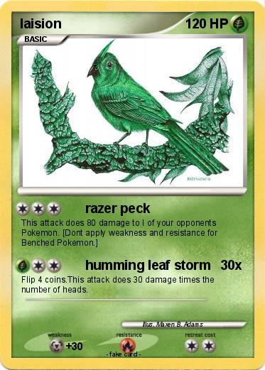 Pokemon laision