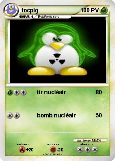 Pokemon tocpig