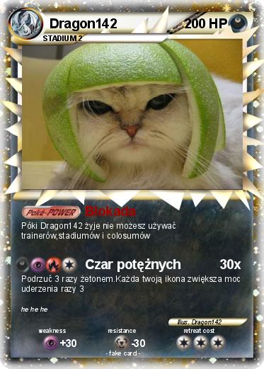 Pokemon Dragon142