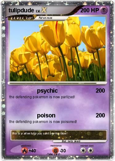 Pokemon tulipdude