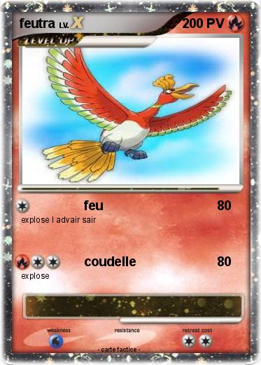 Pokemon feutra