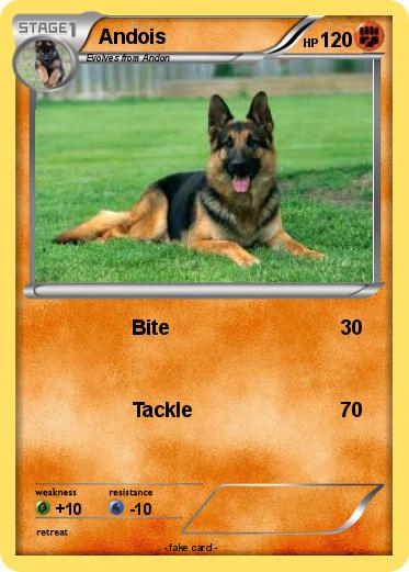 Pokemon Andois