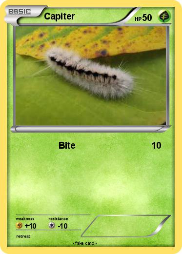Pokemon Capiter