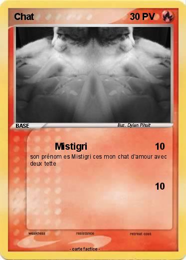 Pokemon Chat