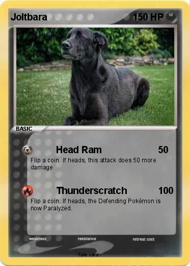 Pokemon Joltbara