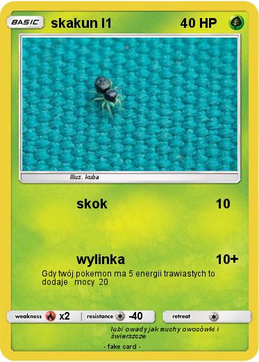 Pokemon skakun l1