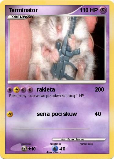 Pokemon Terminator