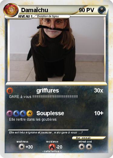 Pokemon DamaÏchu