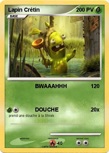Pokemon Lapin Crètin