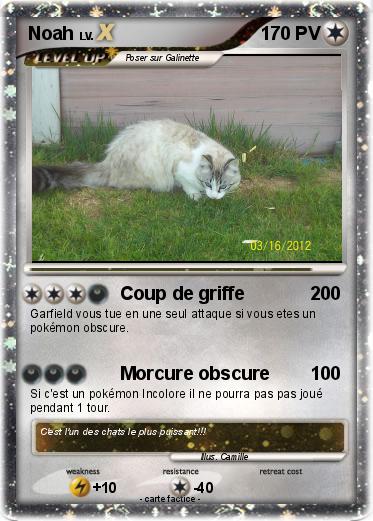 Pokemon Noah