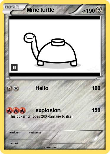 Pokemon Mine turtle