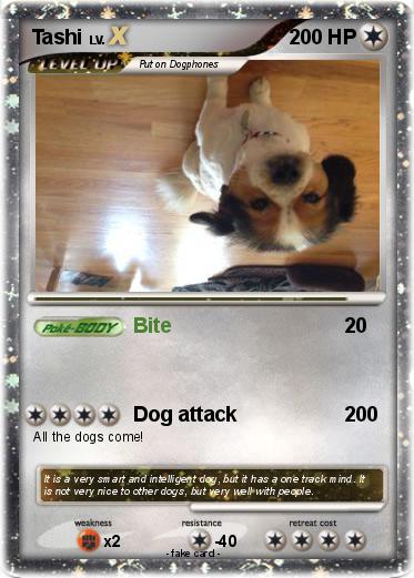 Pokemon Tashi