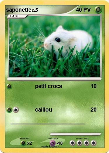 Pokemon saponette