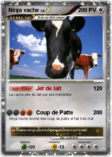 Pokemon Ninja vache