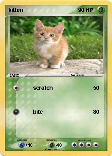 Pokemon kitten