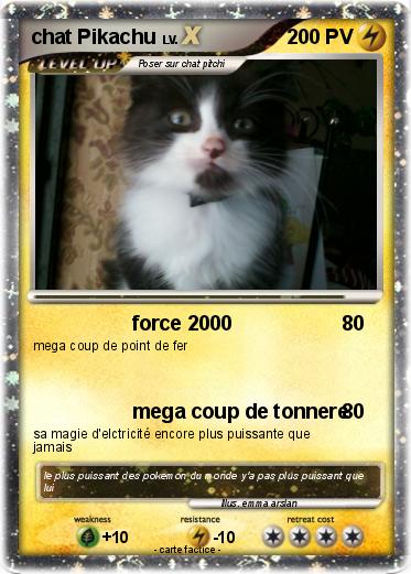 Pokemon chat Pikachu