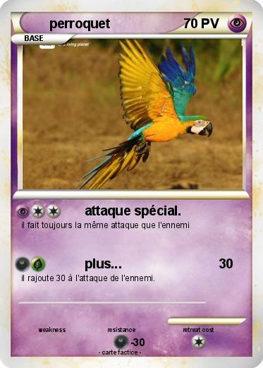 Pokemon perroquet