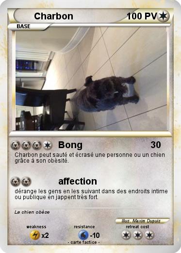 Pokemon Charbon