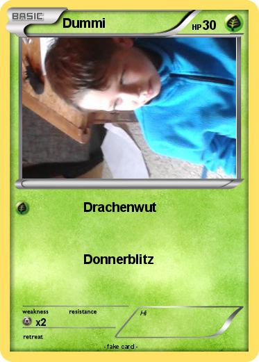 Pokemon Dummi