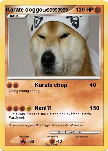 Pokemon Karate doggo