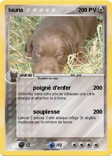 Pokemon louna