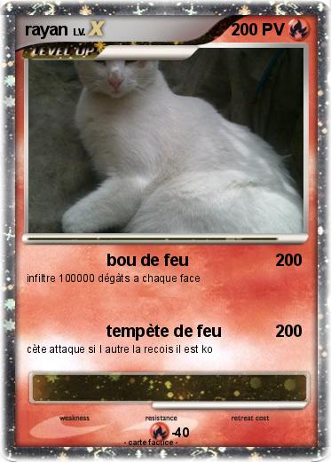 Pokemon rayan